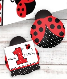 Ladybird 1st Birthday Party Supplies | Balloons | Decorations | Packs